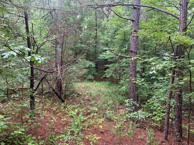 1386A ELVIN WEEKS RD, Bethel Springs, TN 38315