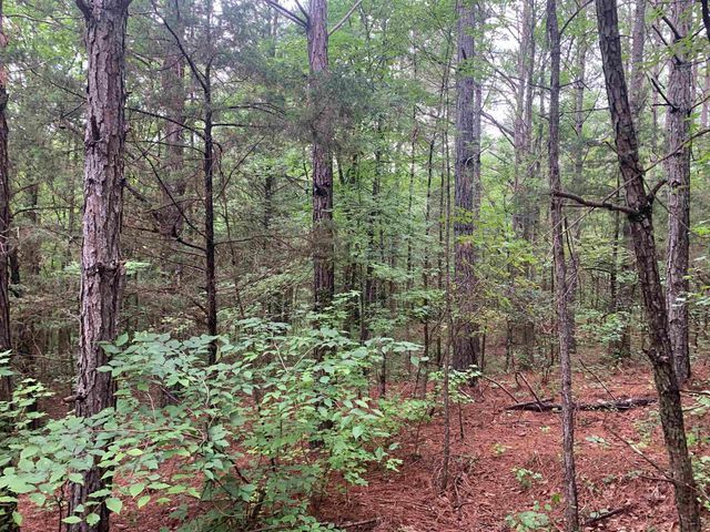 1386A ELVIN WEEKS RD, Bethel Springs, TN 38315
