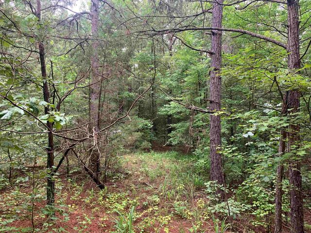 1386A ELVIN WEEKS RD, Bethel Springs, TN 38315