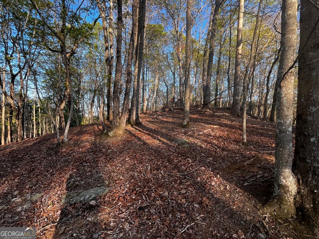 130 Lakeview Walk, Baldwin, GA 30511 — photo 2