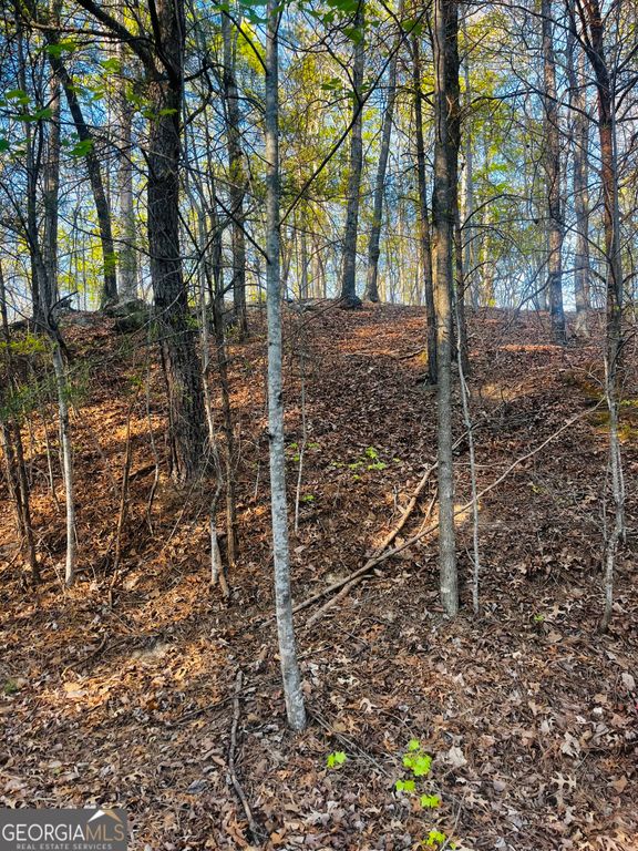 130 Lakeview Walk, Baldwin, GA 30511 — photo 3
