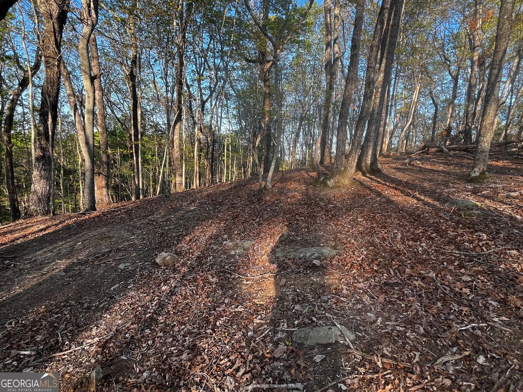 130 Lakeview Walk, Baldwin, GA 30511 — photo 5