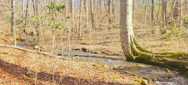 1312 Sweetwater Rd, Newport, TN 37821
