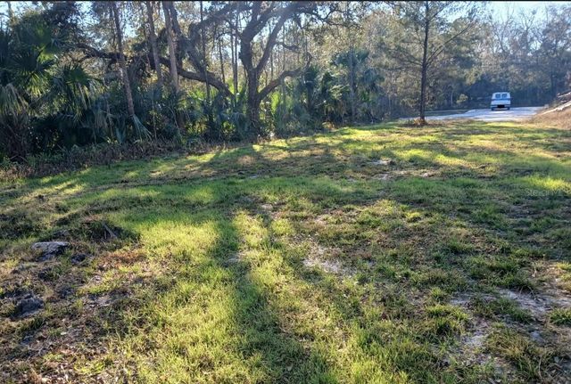 1013 CUPID AVENUE, Christmas, FL 32709