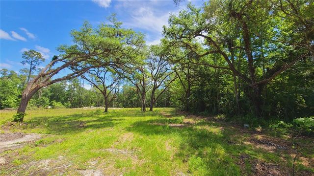 1013 CUPID AVENUE, Christmas, FL 32709