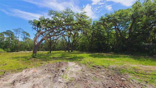 1013 CUPID AVENUE, Christmas, FL 32709