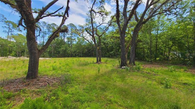 1013 CUPID AVENUE, Christmas, FL 32709