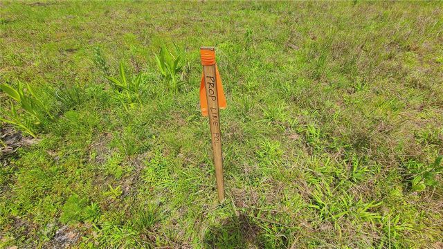1013 CUPID AVENUE, Christmas, FL 32709