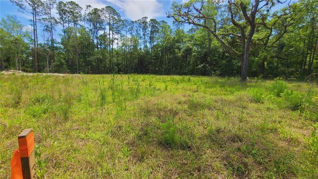 1013 CUPID AVENUE, Christmas, FL 32709
