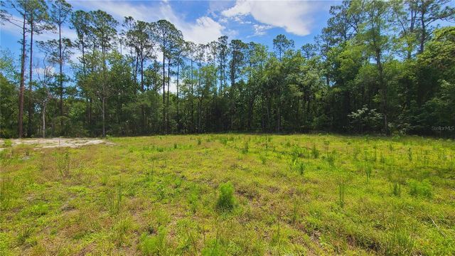 1013 CUPID AVENUE, Christmas, FL 32709