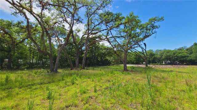 1013 CUPID AVENUE, Christmas, FL 32709
