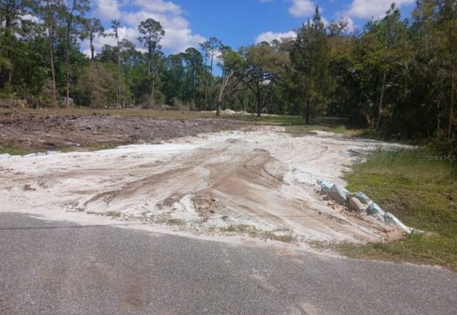 1013 CUPID AVENUE, Christmas, FL 32709