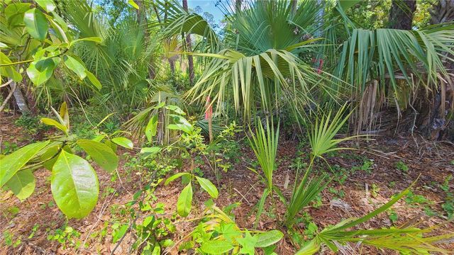 1013 CUPID AVENUE, Christmas, FL 32709