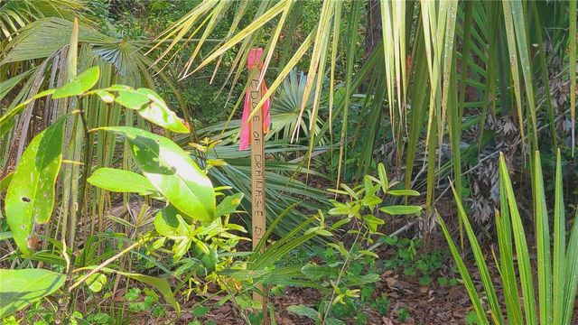 1013 CUPID AVENUE, Christmas, FL 32709