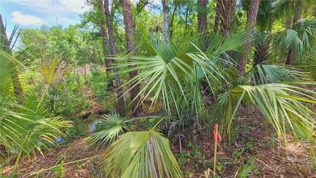 1013 CUPID AVENUE, Christmas, FL 32709