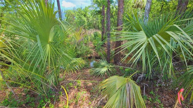1013 CUPID AVENUE, Christmas, FL 32709