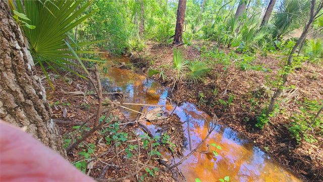 1013 CUPID AVENUE, Christmas, FL 32709