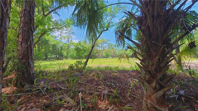 1013 CUPID AVENUE, Christmas, FL 32709