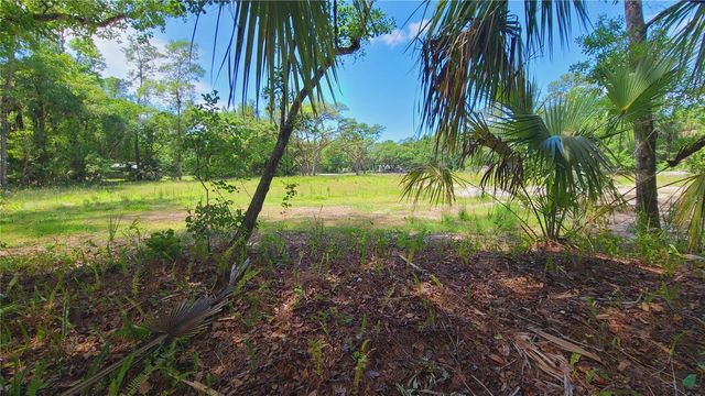 1013 CUPID AVENUE, Christmas, FL 32709