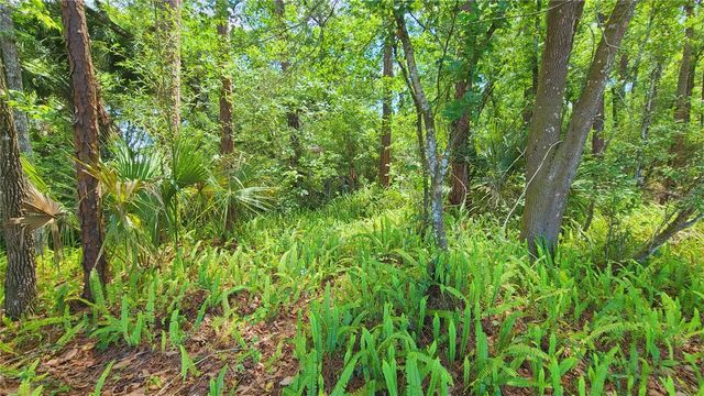 1013 CUPID AVENUE, Christmas, FL 32709