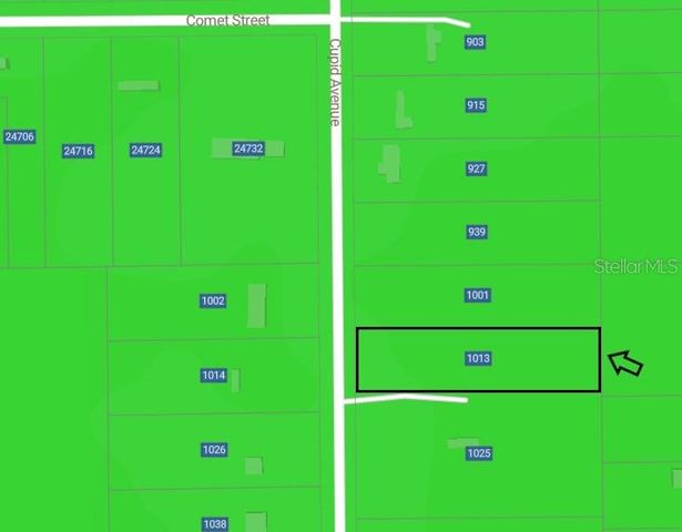 1013 CUPID AVENUE, Christmas, FL 32709