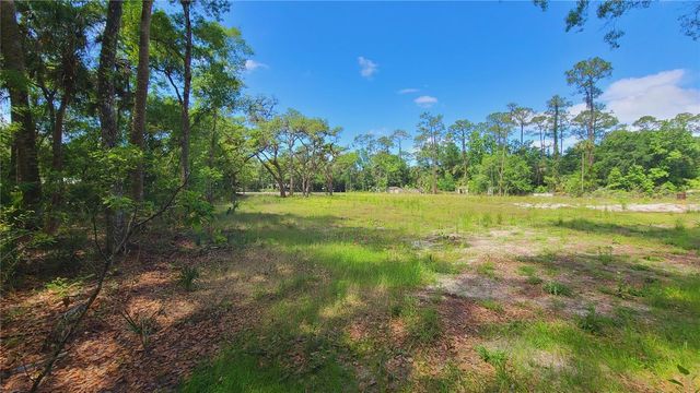 1013 CUPID AVENUE, Christmas, FL 32709