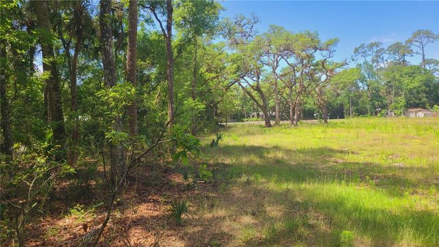 1013 CUPID AVENUE, Christmas, FL 32709