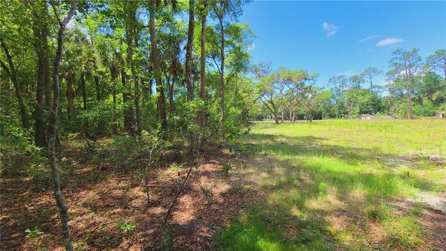 1013 CUPID AVENUE, Christmas, FL 32709