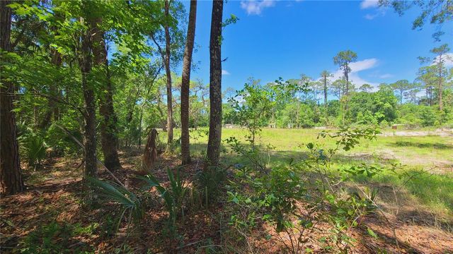 1013 CUPID AVENUE, Christmas, FL 32709