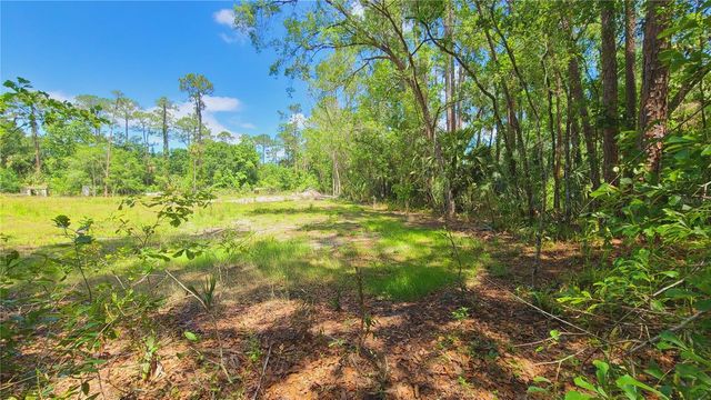 1013 CUPID AVENUE, Christmas, FL 32709