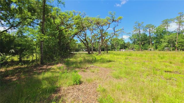1013 CUPID AVENUE, Christmas, FL 32709