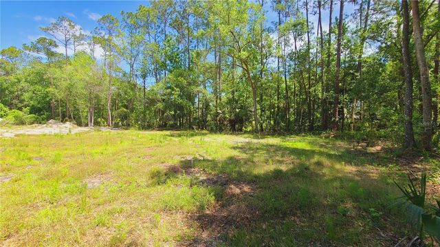 1013 CUPID AVENUE, Christmas, FL 32709