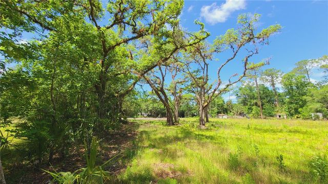 1013 CUPID AVENUE, Christmas, FL 32709