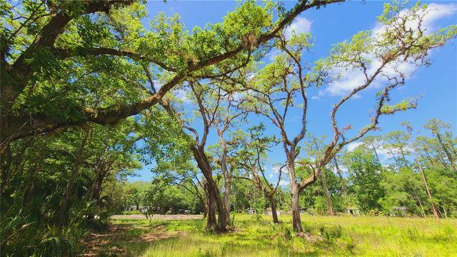 1013 CUPID AVENUE, Christmas, FL 32709