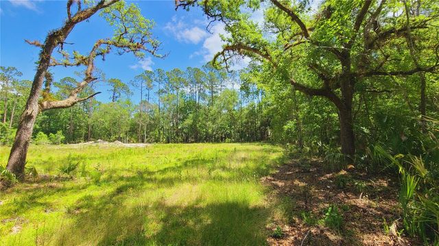 1013 CUPID AVENUE, Christmas, FL 32709