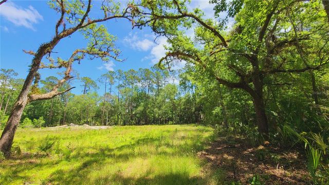1013 CUPID AVENUE, Christmas, FL 32709
