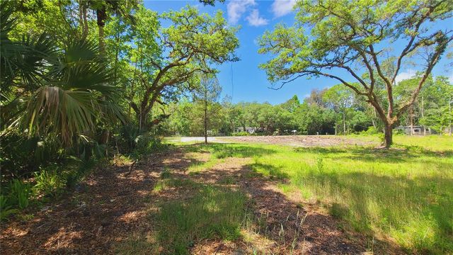 1013 CUPID AVENUE, Christmas, FL 32709