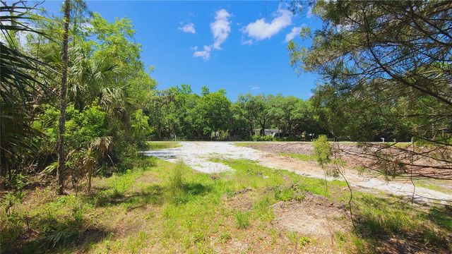 1013 CUPID AVENUE, Christmas, FL 32709