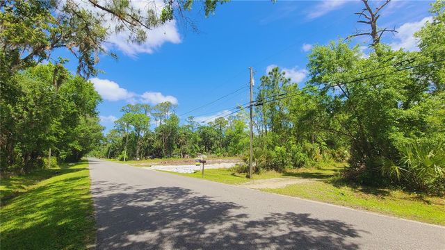 1013 CUPID AVENUE, Christmas, FL 32709