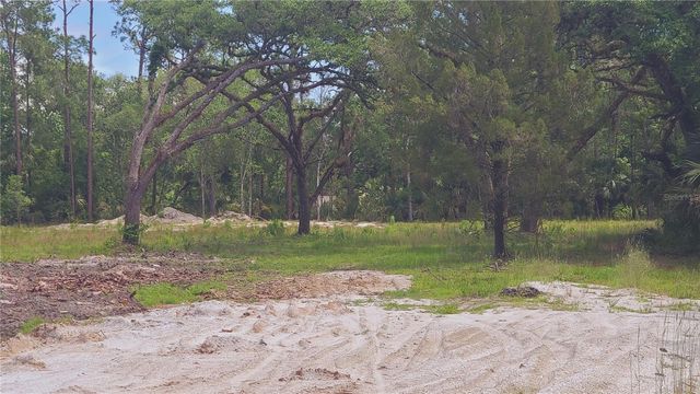 1013 CUPID AVENUE, Christmas, FL 32709