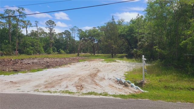 1013 CUPID AVENUE, Christmas, FL 32709