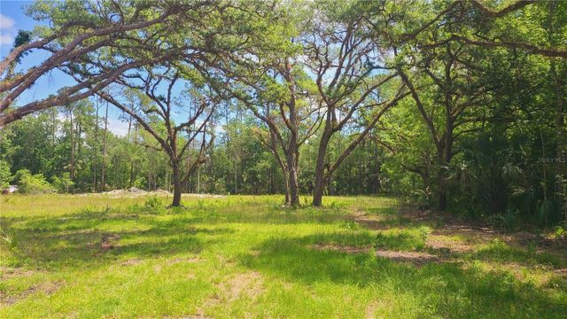 1013 CUPID AVENUE, Christmas, FL 32709