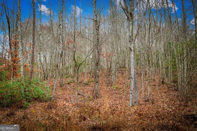 5.97 AC Bullen Gap Road, Blue Ridge, GA 30513