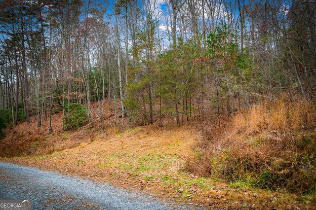 5.97 AC Bullen Gap Road, Blue Ridge, GA 30513