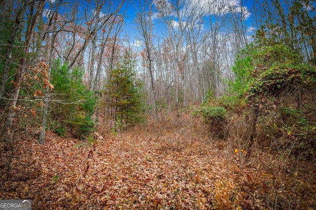 5.97 AC Bullen Gap Road, Blue Ridge, GA 30513