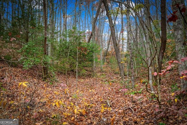 5.97 AC Bullen Gap Road, Blue Ridge, GA 30513
