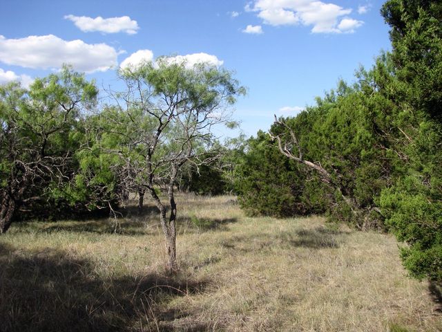 Lot 20 Ph 4 Pr 42126, Evant, TX 76525