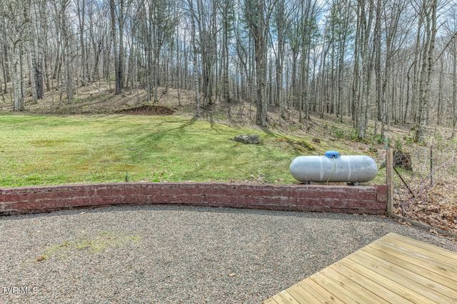 501 Two Branch Lane, Mountain City, TN 37683