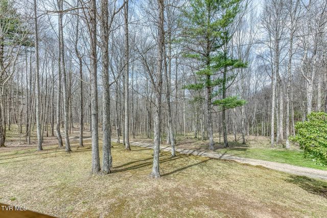 501 Two Branch Lane, Mountain City, TN 37683