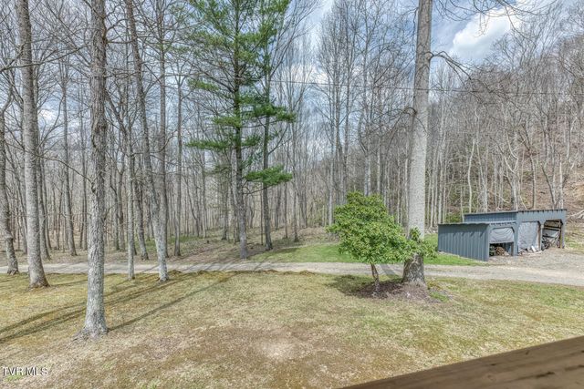 501 Two Branch Lane, Mountain City, TN 37683